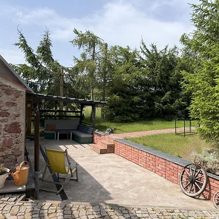 Vila Marchewkowe Pole Sosnina Exteriér fotografie