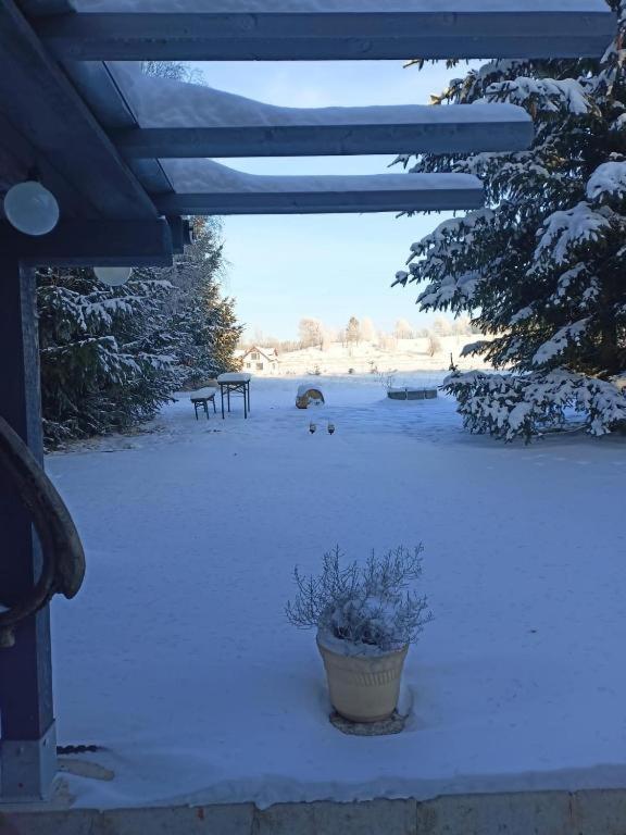 Vila Marchewkowe Pole Sosnina Exteriér fotografie