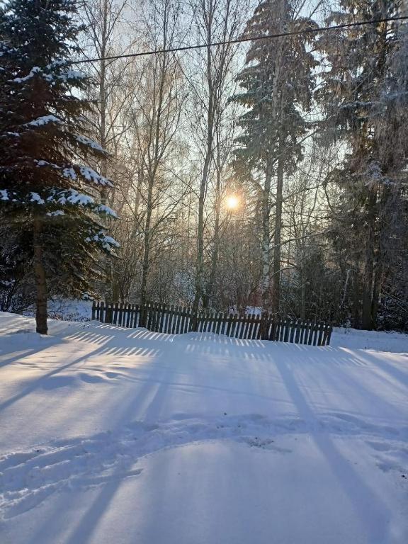 Vila Marchewkowe Pole Sosnina Exteriér fotografie